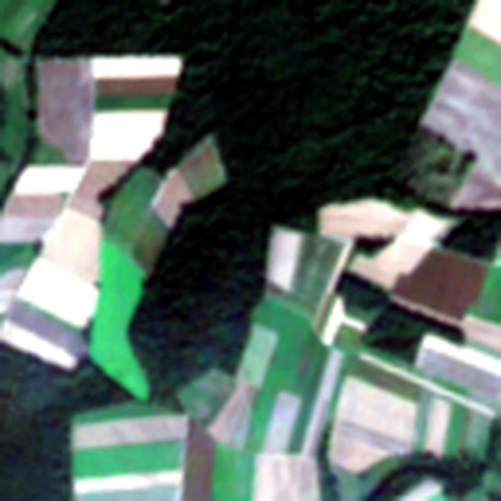 Crops through a season in Eastern France, Sep 2018, in Sentinel-2, 10 m imagery from PASTIS
